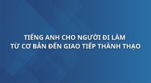tieng-anh-cho-nguoi-di-lam-tu-co-ban-den-giao-tiep-thanh-thao